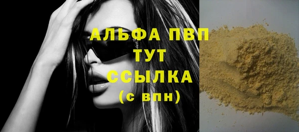 стаф Абинск
