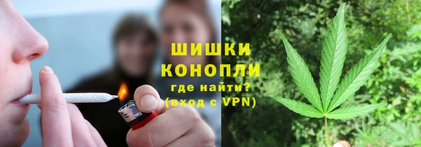 ПСИЛОЦИБИНОВЫЕ ГРИБЫ Абаза