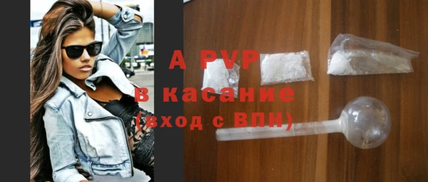 стаф Абинск