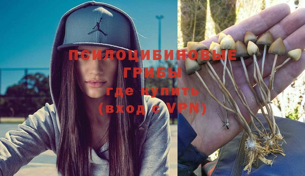 PSILOCYBIN Абдулино