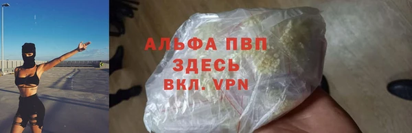 стаф Абинск