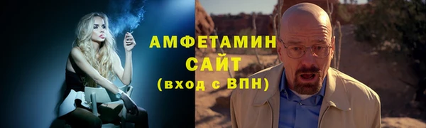 индика Козельск