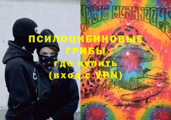 стаф Абинск