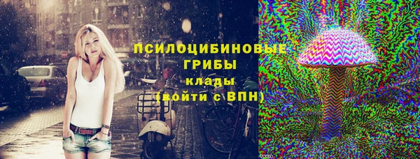 ПСИЛОЦИБИНОВЫЕ ГРИБЫ Абаза