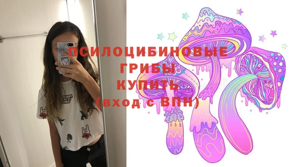 ПСИЛОЦИБИНОВЫЕ ГРИБЫ Абаза