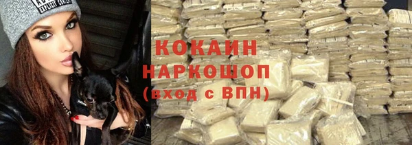 PSILOCYBIN Абдулино