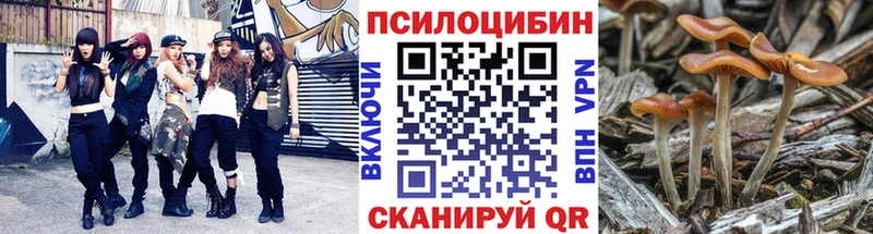 Псилоцибиновые грибы Psilocybe Стерлитамак