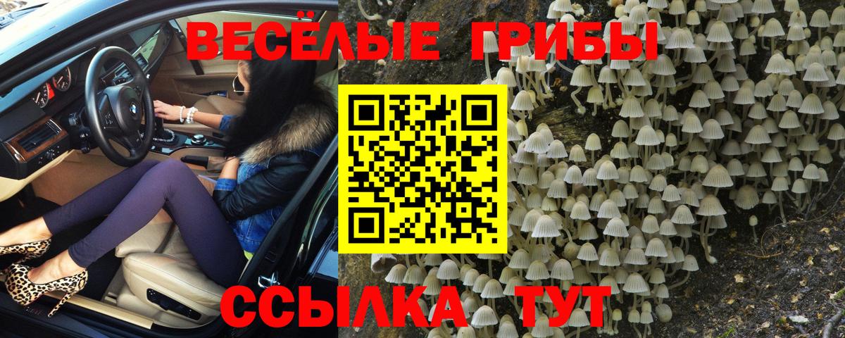 Псилоцибиновые грибы прущие грибы Стерлитамак