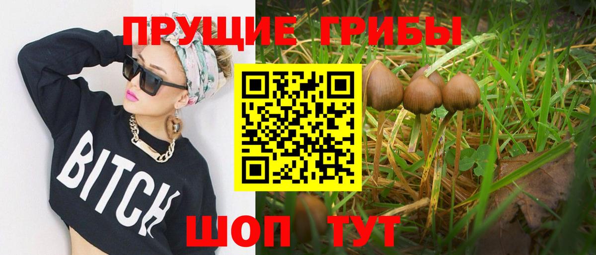 Псилоцибиновые грибы Magic Shrooms  Вход с VPN  Стерлитамак 